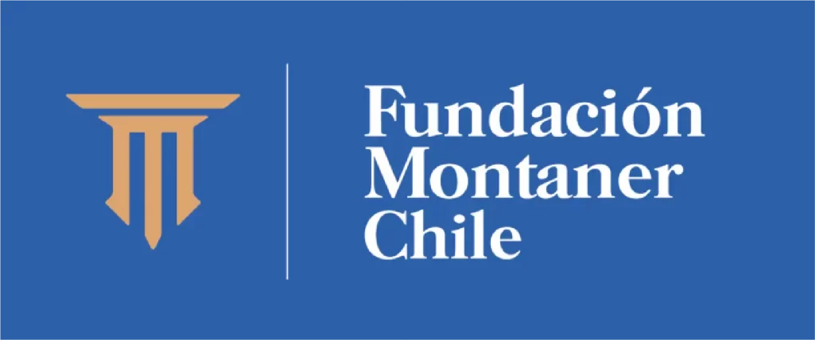 Fundación Montaner Chile